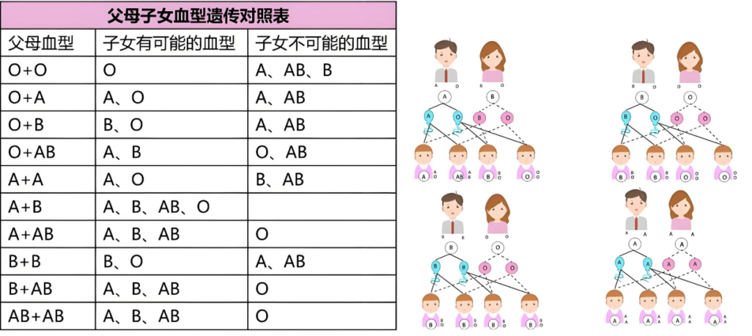 血型親子鑒定對照表能確定親子關系嗎？(圖2)