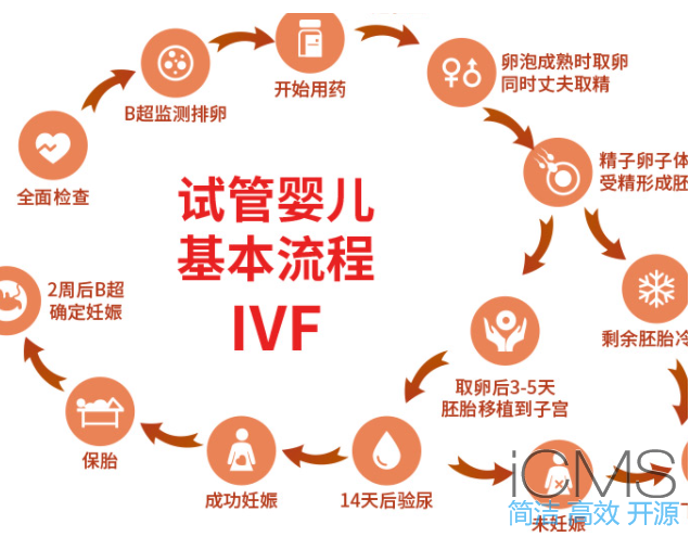 試管嬰兒流程詳解：六大步驟，從診斷到成功懷孕
