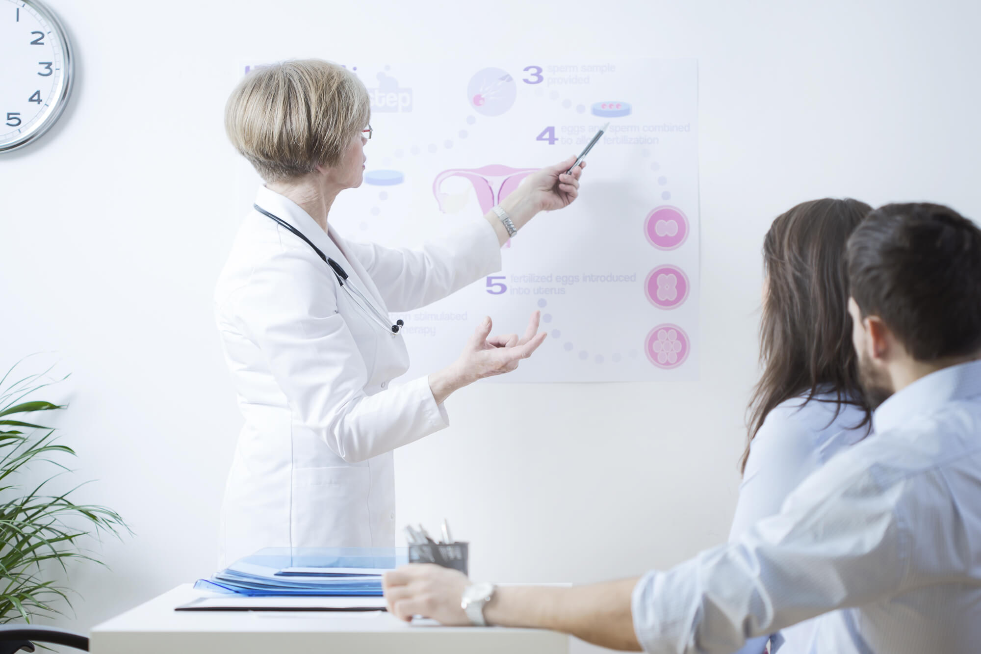 泰國試管嬰兒、泰國試管嬰兒價格